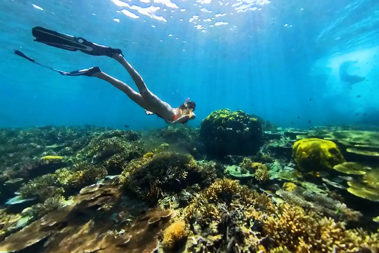 Diving