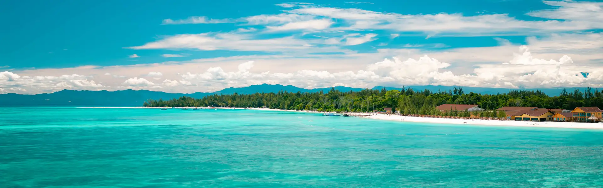 Early Bird Special cover